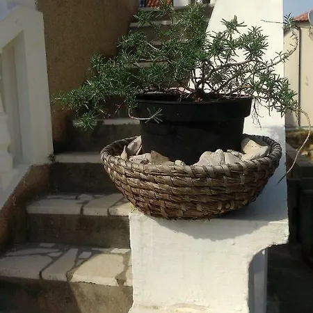 Daire Tribunj Tribalj