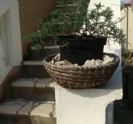 Apartamento Tribunj Tribalj